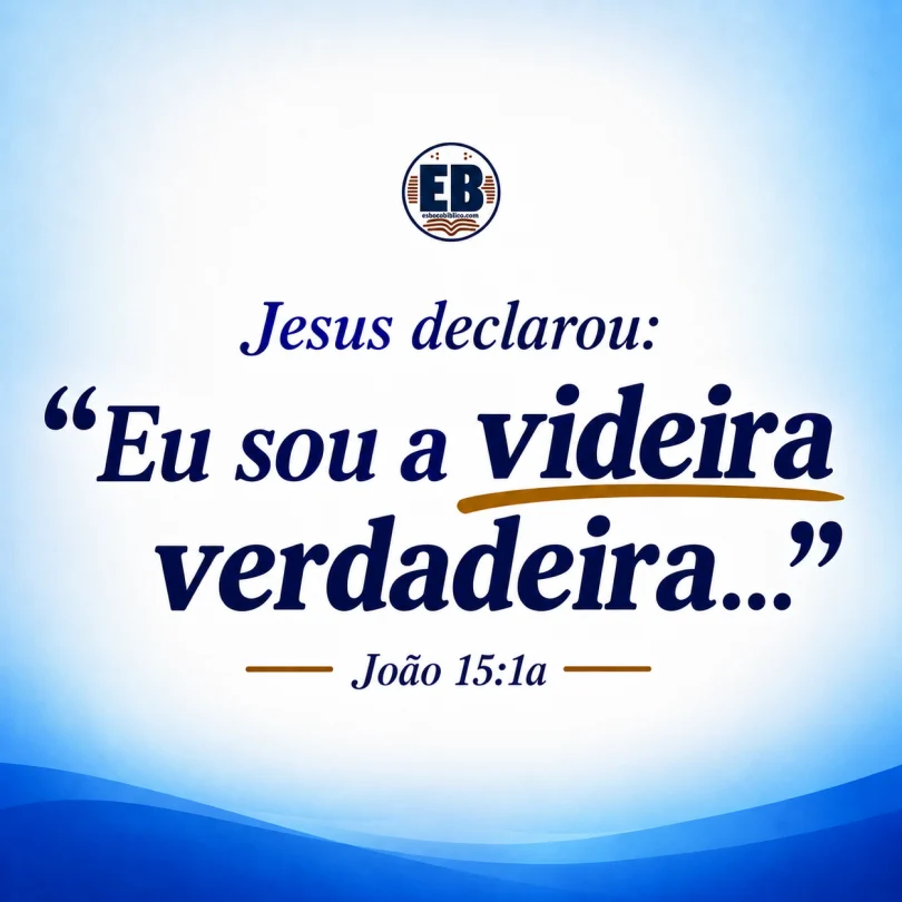 Jesus disse - Eu sou a videira verdadeira.